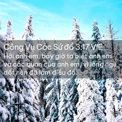 Picture 02 - Công Vụ Các Sứ đồ 3:17 VIE - Hỡi anh em, bây giờ ta biết anh em và - Bible Verse Picture