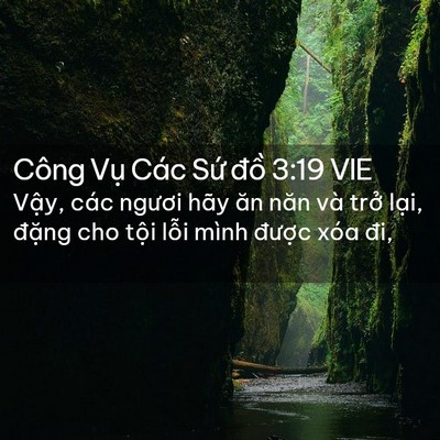 Picture 02 - Công Vụ Các Sứ đồ 3:19 VIE - Vậy, các ngươi hãy ăn năn và trở - Bible Verse Picture