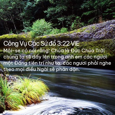 Picture 02 - Công Vụ Các Sứ đồ 3:22 VIE - Môi-se có nói rằng: Chúa là Đức Chúa - Bible Verse Picture