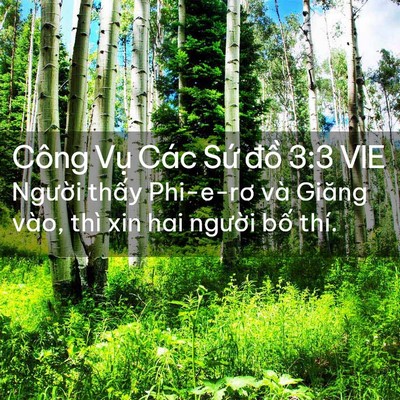 Picture 02 - Công Vụ Các Sứ đồ 3:3 VIE - Người thấy Phi-e-rơ và Giăng vào, thì - Bible Verse Picture
