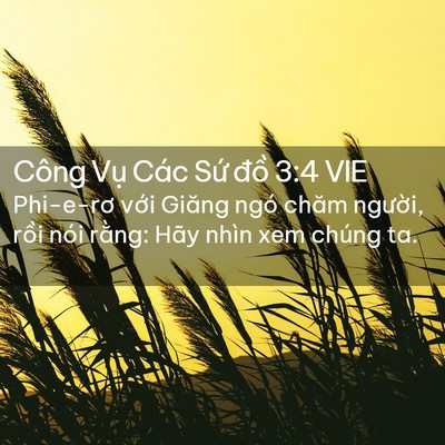 Picture 02 - Công Vụ Các Sứ đồ 3:4 VIE - Phi-e-rơ với Giăng ngó chăm người, rồi - Bible Verse Picture