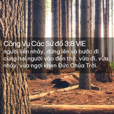 Picture 02 - Công Vụ Các Sứ đồ 3:8 VIE - người liền nhảy, đứng lên và bước - Bible Verse Picture