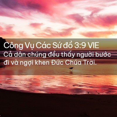 Picture 02 - Công Vụ Các Sứ đồ 3:9 VIE - Cả dân chúng đều thấy người bước - Bible Verse Picture