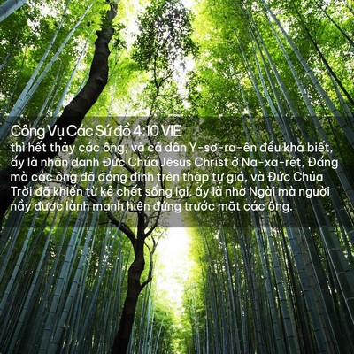 Picture 02 - Công Vụ Các Sứ đồ 4:10 VIE - thì hết thảy các ông, và cả dân - Bible Verse Picture
