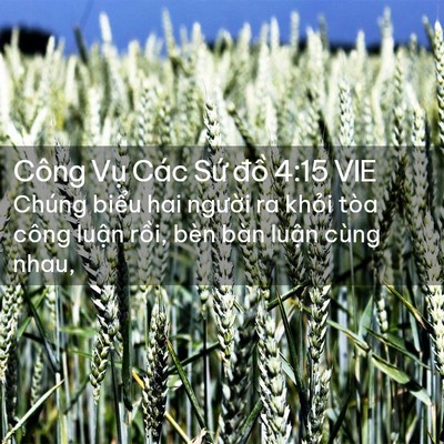 Picture 02 - Công Vụ Các Sứ đồ 4:15 VIE - Chúng biểu hai người ra khỏi tòa công - Bible Verse Picture