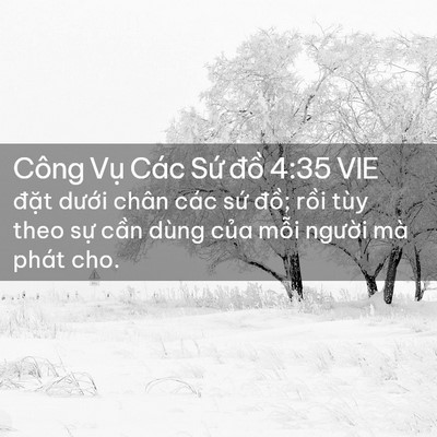 Picture 02 - Công Vụ Các Sứ đồ 4:35 VIE - đặt dưới chân các sứ đồ; rồi tùy - Bible Verse Picture
