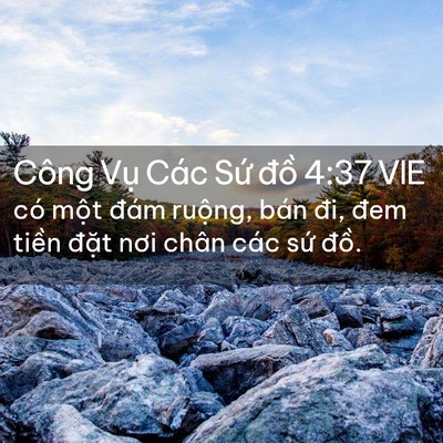 Picture 02 - Công Vụ Các Sứ đồ 4:37 VIE - có một đám ruộng, bán đi, đem tiền - Bible Verse Picture