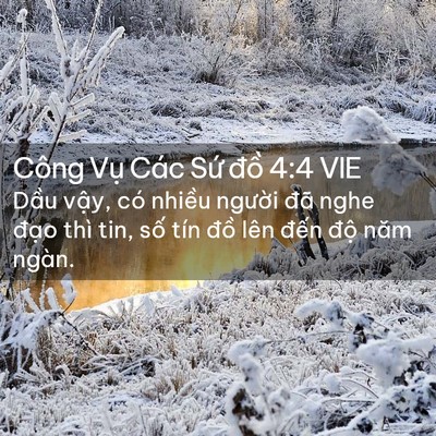 Picture 02 - Công Vụ Các Sứ đồ 4:4 VIE - Dầu vậy, có nhiều người đã nghe - Bible Verse Picture