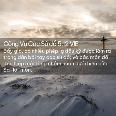 Picture 02 - Công Vụ Các Sứ đồ 5:12 VIE - Bấy giờ, có nhiều phép lạ dấu kỳ - Bible Verse Picture