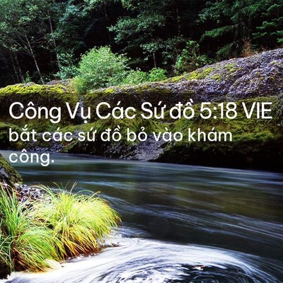 Picture 02 - Công Vụ Các Sứ đồ 5:18 VIE - bắt các sứ đồ bỏ vào khám - Bible Verse Picture