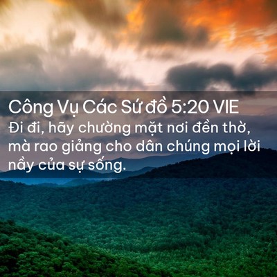 Picture 02 - Công Vụ Các Sứ đồ 5:20 VIE - Đi đi, hãy chường mặt nơi đền thờ, - Bible Verse Picture