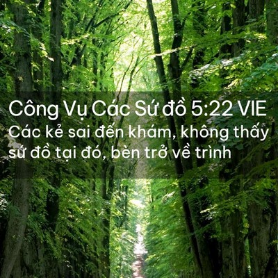 Picture 02 - Công Vụ Các Sứ đồ 5:22 VIE - Các kẻ sai đến khám, không thấy sứ - Bible Verse Picture