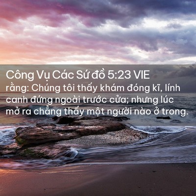 Picture 02 - Công Vụ Các Sứ đồ 5:23 VIE - rằng: Chúng tôi thấy khám đóng kĩ, - Bible Verse Picture