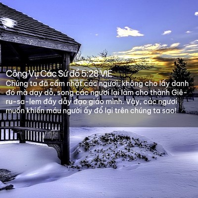 Picture 02 - Công Vụ Các Sứ đồ 5:28 VIE - Chúng ta đã cấm nhặt các ngươi, không - Bible Verse Picture