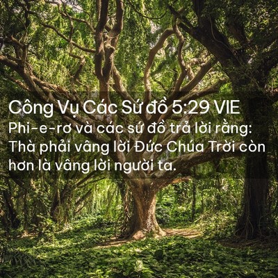 Picture 02 - Công Vụ Các Sứ đồ 5:29 VIE - Phi-e-rơ và các sứ đồ trả lời rằng: - Bible Verse Picture