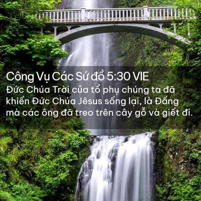 Picture 02 - Công Vụ Các Sứ đồ 5:30 VIE - Đức Chúa Trời của tổ phụ chúng ta - Bible Verse Picture