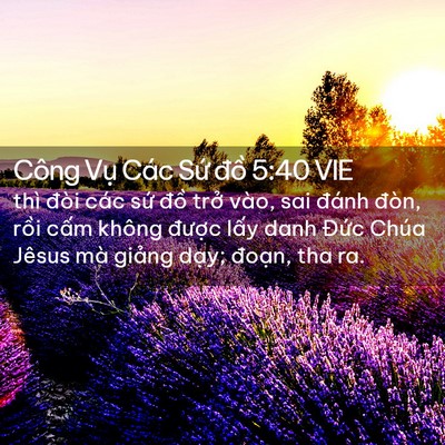 Picture 02 - Công Vụ Các Sứ đồ 5:40 VIE - thì đòi các sứ đồ trở vào, sai đánh - Bible Verse Picture