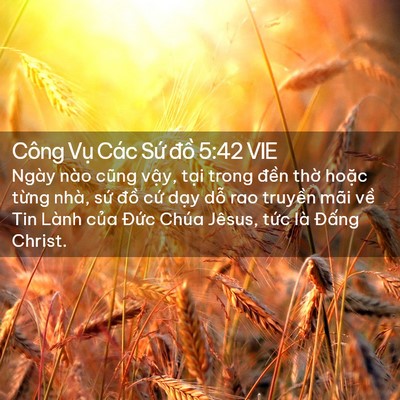 Picture 02 - Công Vụ Các Sứ đồ 5:42 VIE - Ngày nào cũng vậy, tại trong đền thờ - Bible Verse Picture