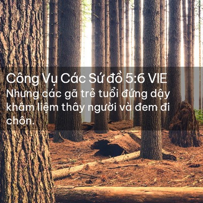Picture 02 - Công Vụ Các Sứ đồ 5:6 VIE - Nhưng các gã trẻ tuổi đứng dậy khâm - Bible Verse Picture