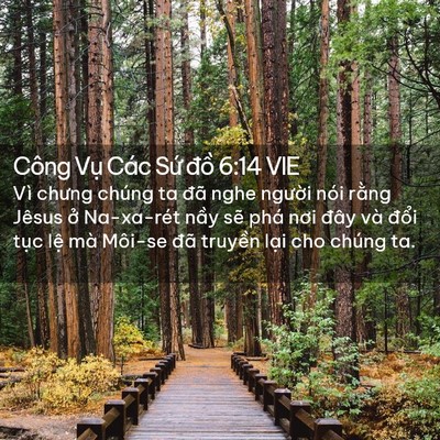 Picture 02 - Công Vụ Các Sứ đồ 6:14 VIE - Vì chưng chúng ta đã nghe người nói - Bible Verse Picture