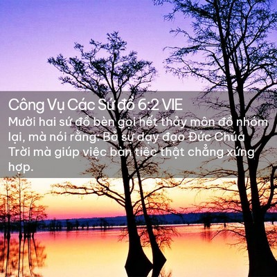 Picture 02 - Công Vụ Các Sứ đồ 6:2 VIE - Mười hai sứ đồ bèn gọi hết thảy - Bible Verse Picture