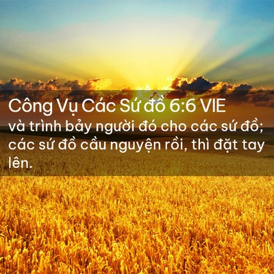 Picture 02 - Công Vụ Các Sứ đồ 6:6 VIE - và trình bảy người đó cho các sứ - Bible Verse Picture