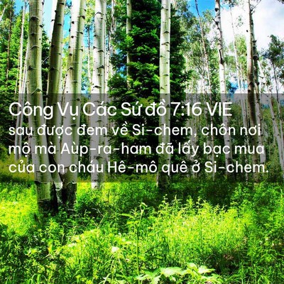 Picture 02 - Công Vụ Các Sứ đồ 7:16 VIE - sau được đem về Si-chem, chôn nơi mộ - Bible Verse Picture