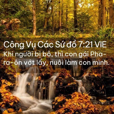 Picture 02 - Công Vụ Các Sứ đồ 7:21 VIE - Khi người bị bỏ, thì con gái Pha-ra-ôn - Bible Verse Picture