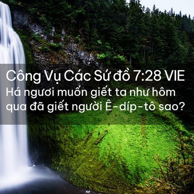 Picture 02 - Công Vụ Các Sứ đồ 7:28 VIE - Há ngươi muốn giết ta như hôm qua đã - Bible Verse Picture