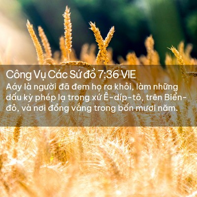 Picture 02 - Công Vụ Các Sứ đồ 7:36 VIE - Aáy là người đã đem họ ra khỏi, làm - Bible Verse Picture