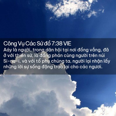 Picture 02 - Công Vụ Các Sứ đồ 7:38 VIE - Aáy là người, trong dân hội tại nơi - Bible Verse Picture