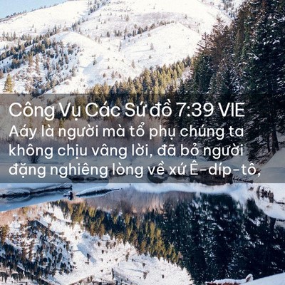 Picture 02 - Công Vụ Các Sứ đồ 7:39 VIE - Aáy là người mà tổ phụ chúng ta không - Bible Verse Picture