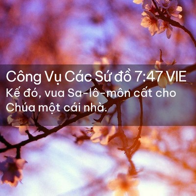 Picture 02 - Công Vụ Các Sứ đồ 7:47 VIE - Kế đó, vua Sa-lô-môn cất cho Chúa một - Bible Verse Picture