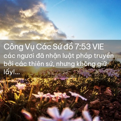 Picture 02 - Công Vụ Các Sứ đồ 7:53 VIE - các ngươi đã nhận luật pháp truyền - Bible Verse Picture
