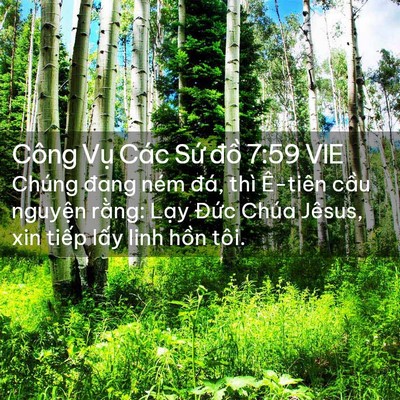 Picture 02 - Công Vụ Các Sứ đồ 7:59 VIE - Chúng đang ném đá, thì Ê-tiên cầu - Bible Verse Picture