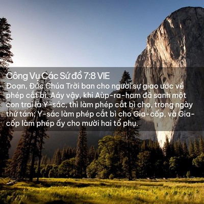 Picture 02 - Công Vụ Các Sứ đồ 7:8 VIE - Đoạn, Đức Chúa Trời ban cho người - Bible Verse Picture