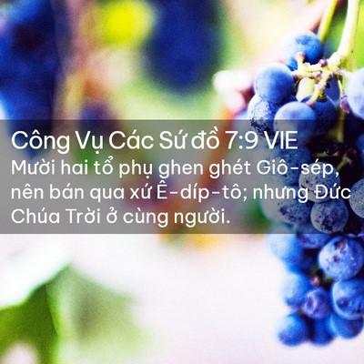 Picture 02 - Công Vụ Các Sứ đồ 7:9 VIE - Mười hai tổ phụ ghen ghét Giô-sép, nên - Bible Verse Picture