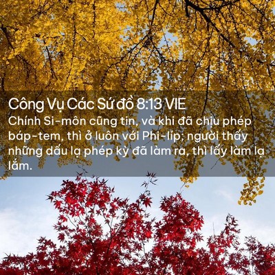 Picture 02 - Công Vụ Các Sứ đồ 8:13 VIE - Chính Si-môn cũng tin, và khi đã chịu - Bible Verse Picture