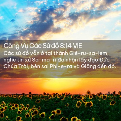 Picture 02 - Công Vụ Các Sứ đồ 8:14 VIE - Các sứ đồ vẫn ở tại thành - Bible Verse Picture