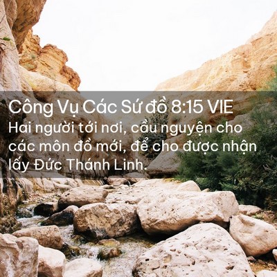 Picture 02 - Công Vụ Các Sứ đồ 8:15 VIE - Hai người tới nơi, cầu nguyện cho các - Bible Verse Picture