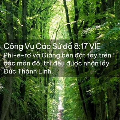 Picture 02 - Công Vụ Các Sứ đồ 8:17 VIE - Phi-e-rơ và Giăng bèn đặt tay trên các - Bible Verse Picture