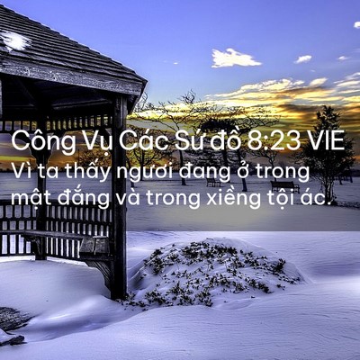 Picture 02 - Công Vụ Các Sứ đồ 8:23 VIE - Vì ta thấy ngươi đang ở trong mật - Bible Verse Picture