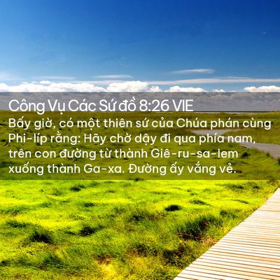 Picture 02 - Công Vụ Các Sứ đồ 8:26 VIE - Bấy giờ, có một thiên sứ của Chúa - Bible Verse Picture