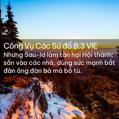 Picture 02 - Công Vụ Các Sứ đồ 8:3 VIE - Nhưng Sau-lơ làm tàn hại Hội thánh: - Bible Verse Picture