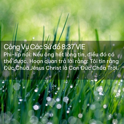 Picture 02 - Công Vụ Các Sứ đồ 8:37 VIE - Phi-líp nói: Nếu ông hết lòng tin, - Bible Verse Picture