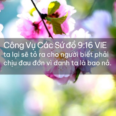 Picture 02 - Công Vụ Các Sứ đồ 9:16 VIE - ta lại sẽ tỏ ra cho người biết phải - Bible Verse Picture