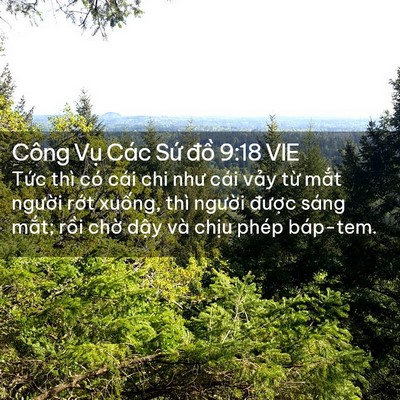 Picture 02 - Công Vụ Các Sứ đồ 9:18 VIE - Tức thì có cái chi như cái vảy từ - Bible Verse Picture