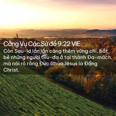 Picture 02 - Công Vụ Các Sứ đồ 9:22 VIE - Còn Sau-lơ lần lần càng thêm vững chí, - Bible Verse Picture