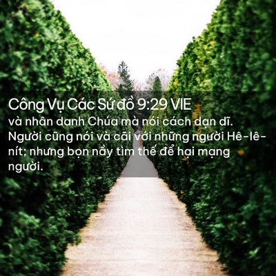Picture 02 - Công Vụ Các Sứ đồ 9:29 VIE - và nhân danh Chúa mà nói cách dạn dĩ. - Bible Verse Picture