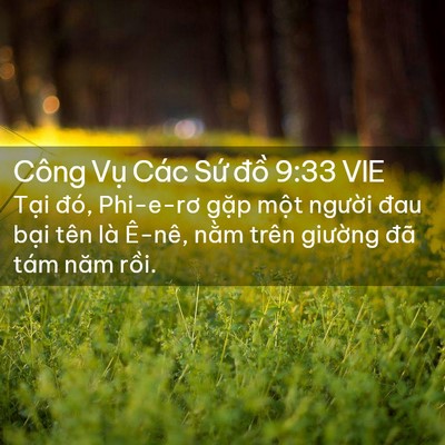 Picture 02 - Công Vụ Các Sứ đồ 9:33 VIE - Tại đó, Phi-e-rơ gặp một người đau - Bible Verse Picture